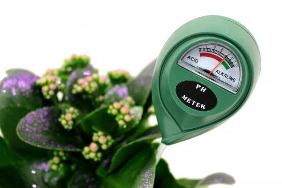 Dirvožemio Ph matuoklis Garden Line kaina ir informacija | Drėgmės, temperatūros, pH, ORP matuokliai | pigu.lt