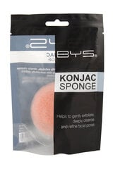 Veido valymo kempinė BYS Konjac Sponge Pink, 1 vnt kaina ir informacija | Makiažo šepetėliai, kempinėlės | pigu.lt
