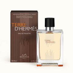 Туалетная вода Hermes Terre D'hermes EDT для мужчин, 100 мл цена и информация | Мужские духи | pigu.lt