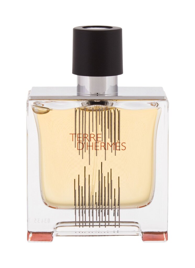 Tualetinis vanduo Hermes Terre D'hermes EDT vyrams 75 ml kaina ir informacija | Kvepalai vyrams | pigu.lt