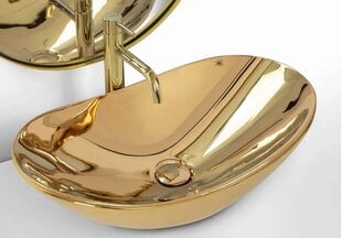 Praustuvas Rea Royal 60 Gold kaina ir informacija | Praustuvai | pigu.lt