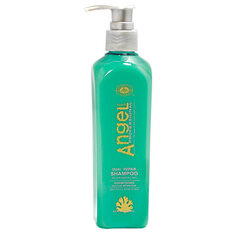 Šampūnas sausiems plaukams Angel Dual Repair Shampoo, 1 l kaina ir informacija | Šampūnai | pigu.lt