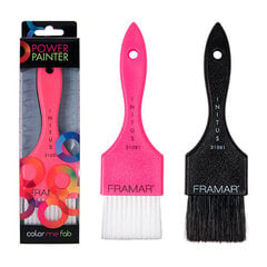 Šepetėliai plaukų dažymui Framar Power Painter Brush Set, 2 vnt kaina ir informacija | Plaukų dažai | pigu.lt
