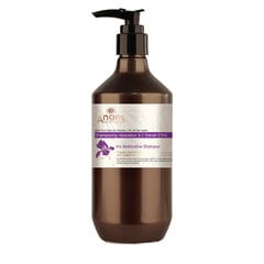Atstatomasis plaukų šampūnas Angel Iris Restorative Shampoo, 800 ml kaina ir informacija | Šampūnai | pigu.lt
