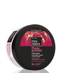 Dažytų plaukų kaukė su organinių granatų sėklų aliejais Farcom Mea Natura Pome Granate Hair Mask Color Brilliance &amp; Youth Save For Color-Treated hair, 250 ml kaina ir informacija | Priemonės plaukų stiprinimui | pigu.lt