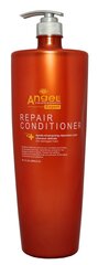 Kondicionierius pažeistiems plaukams Angel Professional Expert Repair Conditioner, 2000 ml kaina ir informacija | Balzamai, kondicionieriai | pigu.lt