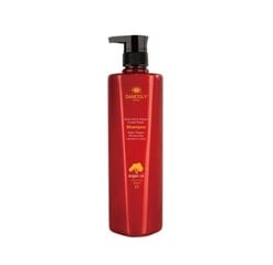 Pažeistų plaukų šampūnas su argano aliejumi Argan Active Oxygen Instant Repair Shampoo, 800 ml цена и информация | Шампуни | pigu.lt