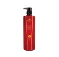 Pažeistų plaukų šampūnas su argano aliejumi Argan Active Oxygen Instant Repair Shampoo, 800 ml