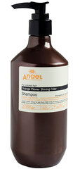 Šampūnas dažytiems plaukams Angel Orange Flower Shining Color Shampoo For colored hair, 400 ml цена и информация | Шампуни | pigu.lt