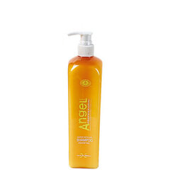 Šampūnas plaukams nuo pleiskanų Angel Marine Depth SPA Shampoo Dandruff hair, 250 ml цена и информация | Шампуни | pigu.lt