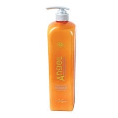 Šampūnas dažytiems plaukams Angel Marine Depth SPA Shampoo Coloured Hair, 1000 ml kaina ir informacija | Šampūnai | pigu.lt