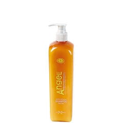 Šampūnas riebiems plaukams Angel Marine Depth SPA Shampoo Oily Hair, 250 ml цена и информация | Шампуни | pigu.lt