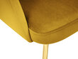 Kėdė Micadoni Home Chaya, geltona kaina ir informacija | Virtuvės ir valgomojo kėdės | pigu.lt