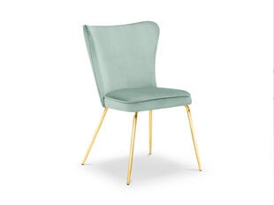 Kėdė Micadoni Home Ari, šviesiai žalia kaina ir informacija | Virtuvės ir valgomojo kėdės | pigu.lt