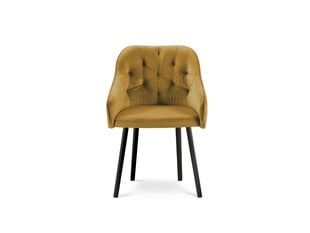 Kėdė Micadoni Home Nissi, geltona kaina ir informacija | Virtuvės ir valgomojo kėdės | pigu.lt