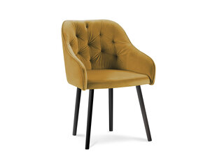 Kėdė Micadoni Home Nissi, geltona kaina ir informacija | Virtuvės ir valgomojo kėdės | pigu.lt