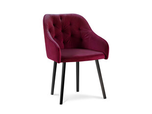 Kėdė Micadoni Home Nissi, raudona kaina ir informacija | Virtuvės ir valgomojo kėdės | pigu.lt