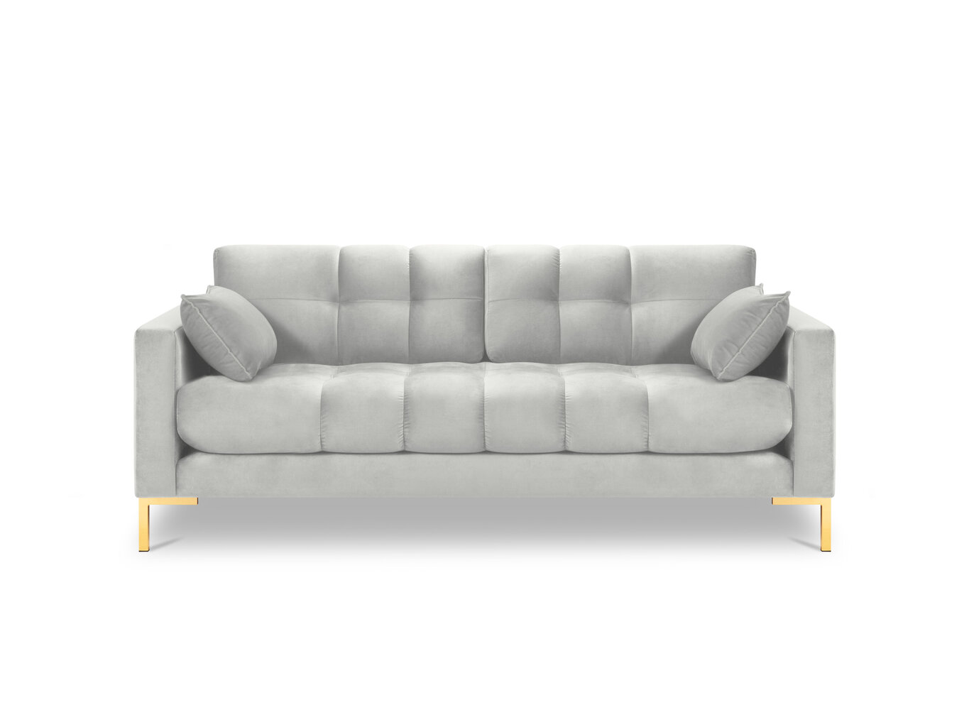 Sofa Micadoni Home Mamaia 2S, šviesiai pilka/auksinės spalvos kaina ir informacija | Sofos | pigu.lt