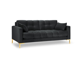 Sofa Micadoni Home Mamaia 2S, tamsiai pilka/auksinės spalvos kaina ir informacija | Sofos | pigu.lt