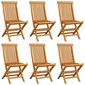 Sodo kėdės su pagalvėlėmis, 6vnt., pilkos spalvos, tikmedžio medienos masyvas kaina ir informacija | Lauko kėdės, foteliai, pufai | pigu.lt
