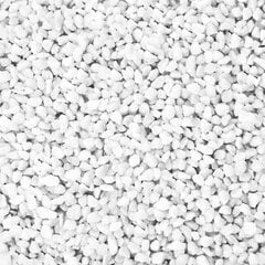 Камни декоративные белые, 0,5 кг цена и информация | Мульча, декоративный щебень | pigu.lt