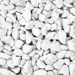 Dekoratyviniai akmenėliai balti, 0,5 kg kaina ir informacija | Mulčias, dekoratyvinė skalda | pigu.lt