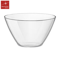 Чаша стеклянная Basic 400cl F6CT12 / 216, 26x14,5 см цена и информация | Bormioli Rocco Кухонные товары, товары для домашнего хозяйства | pigu.lt
