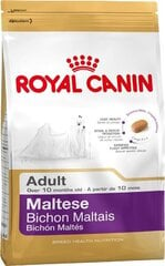 Royal Canin Maltese Adult для собак породы мальтийский бишон, 0,5 кг цена и информация |  Сухой корм для собак | pigu.lt