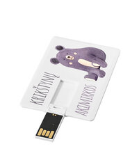 USB laikmena Meškutė, 4 GB kaina ir informacija | USB laikmenos | pigu.lt