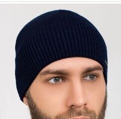 Kepurė vyrams Caskona kaina ir informacija | Vyriški šalikai, kepurės, pirštinės | pigu.lt