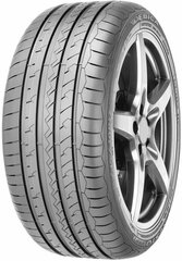 Debica Presto HP 2 215/55R16 93V kaina ir informacija | Vasarinės padangos | pigu.lt