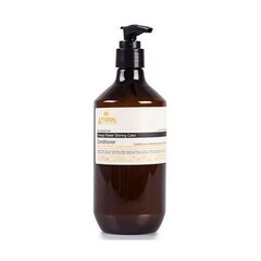 Kondicionierius dažytiems plaukams Angel Orange Flower Shining Color Conditioner For colored hair, 800 ml kaina ir informacija | Balzamai, kondicionieriai | pigu.lt