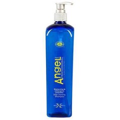 Šampūnas giliam plaukų valymui Angel Deep Cleansing Shampoo, 1000 ml kaina ir informacija | Šampūnai | pigu.lt