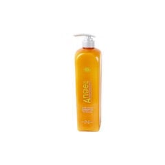 Šampūnas Angel Marine Depth SPA Shampoo Dry Neutral, 500 ml цена и информация | Шампуни | pigu.lt