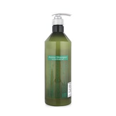 Šampūnas sausiems ir pažeistiems plaukams Dancoly Aroma Shampoo Dry and Damaged hair, 1000 ml цена и информация | Шампуни | pigu.lt