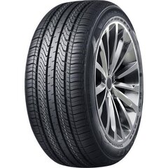 Diamond Back TR978 195/55R16 87H M+S kaina ir informacija | Vasarinės padangos | pigu.lt