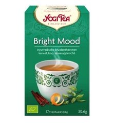 Пряный чай для настроения Bright Mood, Yogi Tea, экологичный, 17 пакетиков цена и информация | Чай | pigu.lt