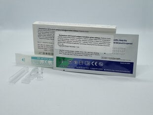 COVID-19 antigeno greitojo nustatymo nosiaryklės testas NORMAN, 10 vnt kaina ir informacija | COVID-19 greitieji testai | pigu.lt