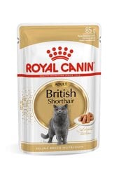 Royal Canin British Shorthair suaugusioms Britų trumpaplaukėms katėms, 12x85 g kaina ir informacija | Konservai katėms | pigu.lt