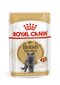 Royal Canin British Shorthair suaugusioms Britų trumpaplaukėms katėms, 12x85 g kaina ir informacija | Konservai katėms | pigu.lt