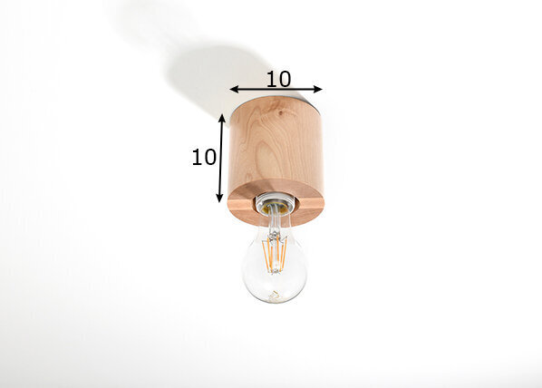 Sollux lubinis šviestuvas Salgado, rudas kaina ir informacija | Lubiniai šviestuvai | pigu.lt