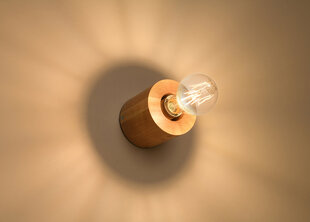 Настенный светильник Salgado цена и информация | Настенные светильники | pigu.lt