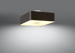 Потолочный светильник Sollux Lokko, черный, 45 см цена и информация | Потолочные светильники | pigu.lt