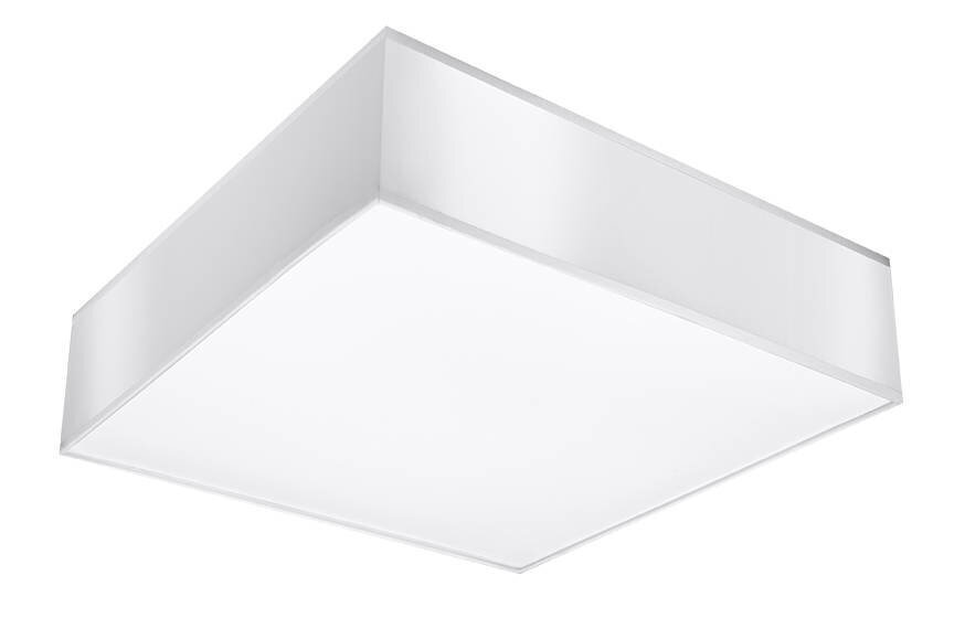 Sollux lubinis šviestuvas Horus, baltas, 55 cm kaina ir informacija | Lubiniai šviestuvai | pigu.lt