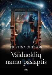 Vaiduoklių namo paslaptis цена и информация | Книги для подростков и молодежи | pigu.lt