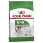 Royal Canin Mini Adult 2 kg цена и информация | Sausas maistas šunims | pigu.lt