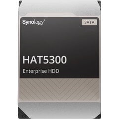 Synology HAT5300-16T, 16 TB kaina ir informacija | Vidiniai kietieji diskai (HDD, SSD, Hybrid) | pigu.lt