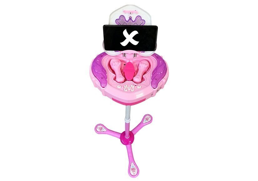 Mikrofonas su stovu, rožinė kaina ir informacija | Lavinamieji žaislai | pigu.lt