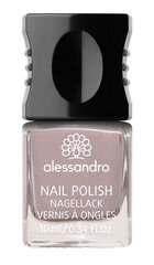 Лак для ногтей Alessandro Nail Polish Velvet Taupe, 10 мл цена и информация | Лаки, укрепители для ногтей | pigu.lt