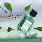 Tualetinis vanduo Lacoste Match Point EDT vyrams, 30 ml цена и информация | Kvepalai vyrams | pigu.lt